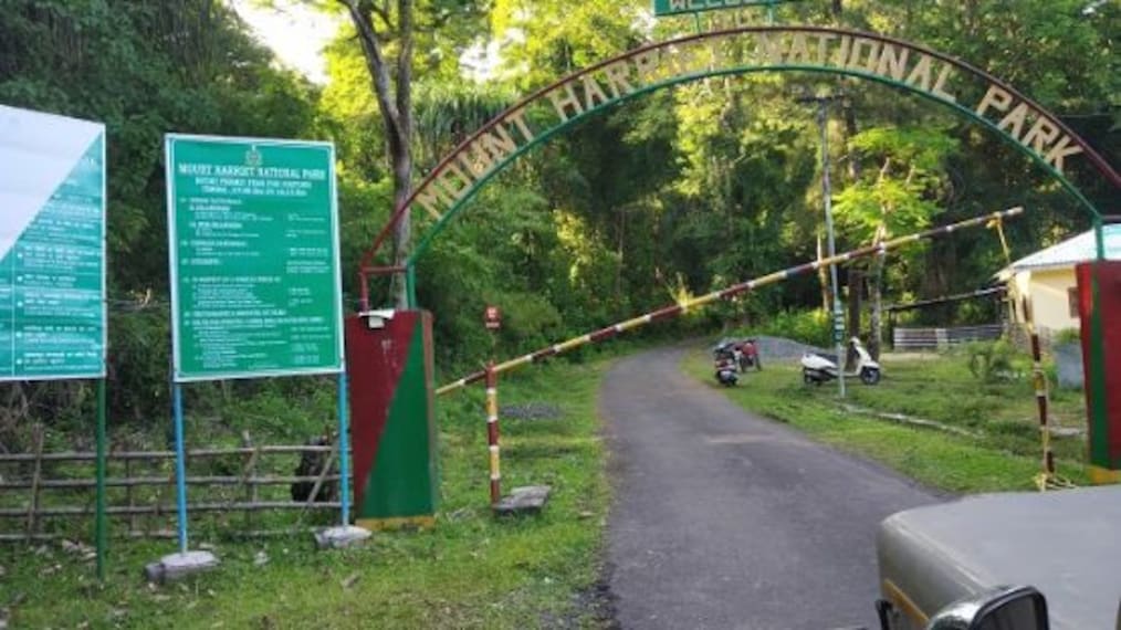 Mount Harriet National Park-1